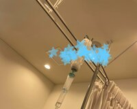 市川海老蔵『は、はい』