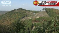 社会ニュース - 11月でも20度超が続出 紅葉ツアーも…まだ“緑” | 動画視聴は【Abemaビデオ(AbemaTV)】