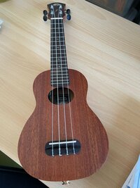 ヘドロママ『ウクレレ』