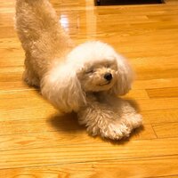 堀ちえみ『心を無にして家事をこなす』