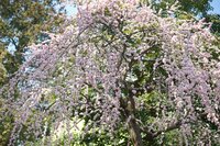 葛山信吾『今日は朝から』