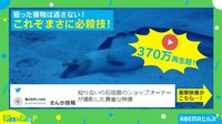 貴重な“必殺技”を炸裂させるウミヘビ