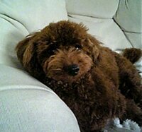 大島康徳『元気出して行こう』