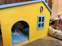 デヴィ夫人『マイ ファミリーの 新しいお家』