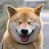 柴犬まるオフィシャルブログ「笑う門にはまる来たる」Powered by Ameba