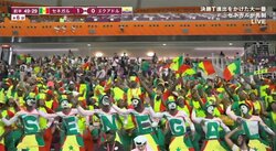 “クセつよ”サポーターに「試合見る気あるのかw」視聴者爆笑！ セネガルの劇的勝利を後押ししたライオンの登場に騒然
