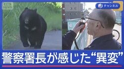 市街地にクマ　前線指揮の警察署長が感じた“異変”