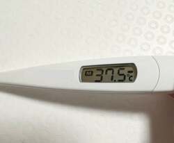  古村比呂、抗がん剤治療の副作用により出ている症状「心配でした」「無理なくお過ごしください」の声 