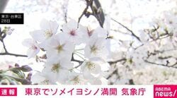 東京でソメイヨシノ満開 気象庁