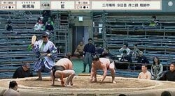 「ガラわる！」「つまみ出してください」大相撲の客席から突然の“怒号” 取組直前の奇声に「力士が可哀想」憤りの声