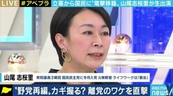 「リベラルで前向きな憲法改正というものがあるはずだ」山尾志桜里議員が国民民主党を選んだ理由…古巣・立憲民主党との“合流話”に複雑な心境も