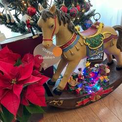  料理研究家・桜井奈々、過去1で気に入っている『コストコ』品を紹介「収納場所ないので」 