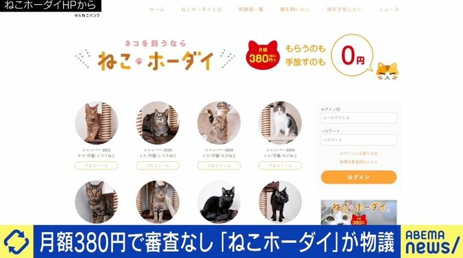 “月額380円で審査なし” 賛否の声があがる「ねこホーダイ」にNPO代表「所有権が不明確。死んでしまったら誰が責任を取るのか」 1枚目