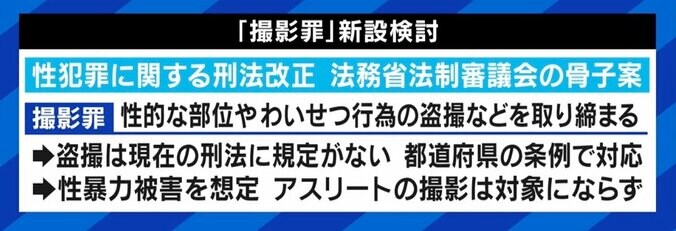 安藤美姫「10代から成人誌に写真を載せられた」アスリートを“卑猥目的で撮影” 法務省は新刑罰検討も 5枚目