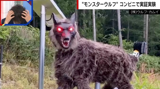 （株）ウルフ・カムイ