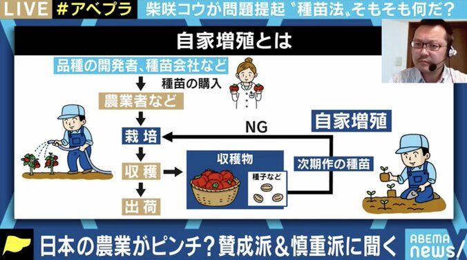 【写真・画像】ネットでも話題に…見送りになった「種苗法改正案」、一体何が問題だったのか?賛成派・慎重派の意見とは　3枚目