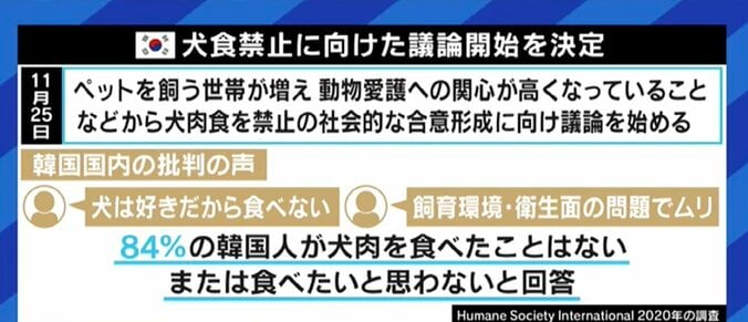 韓国では消えゆく「犬食文化」、北朝鮮では今も“夏の滋養食”? 食文化と動物愛護の境界線って 5枚目