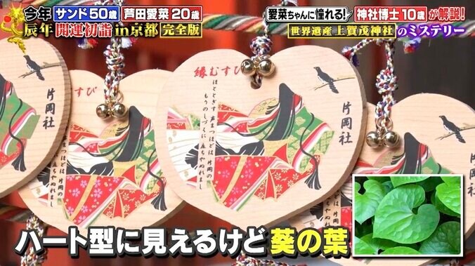 【写真・画像】芦田愛菜、紫式部が恋愛祈願した神社を参拝 「源氏物語」お気に入りシーンを語る　3枚目