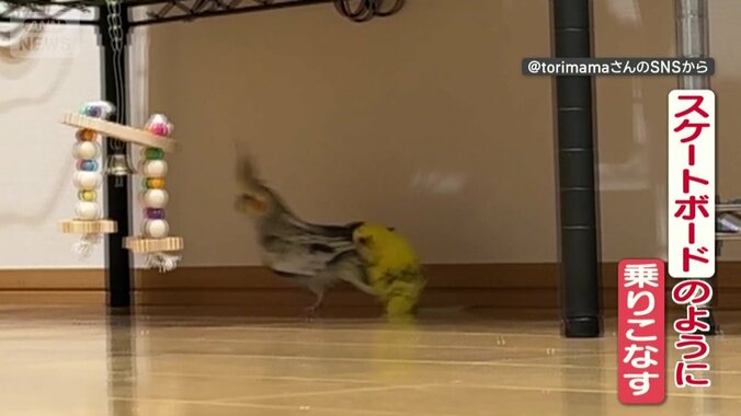 器用に乗りこなす