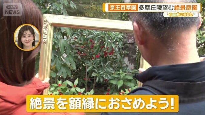 縁起の良い風景を額縁越しに切り取る