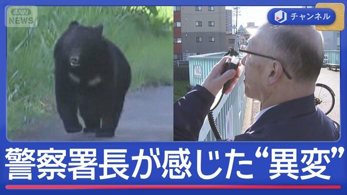市街地にクマ　前線指揮の警察署長が感じた“異変” 1枚目