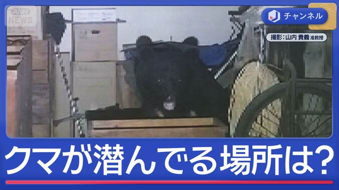 映像分析　クマ潜む“好きな場所”ってどこ？ 1枚目