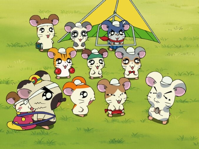 アニメ『とっとこハム太郎』第2期全103話、パンダくんの誕生日4月8日に無料一挙放送 4枚目