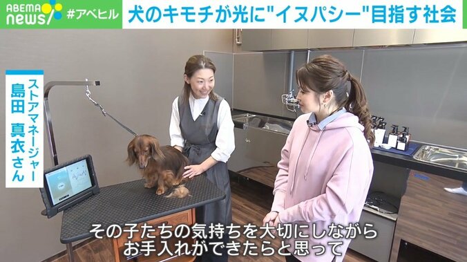 あなたは犬の気持ちが本当にわかっている？ 愛犬の感情を知る「イヌパシー」とは 6枚目