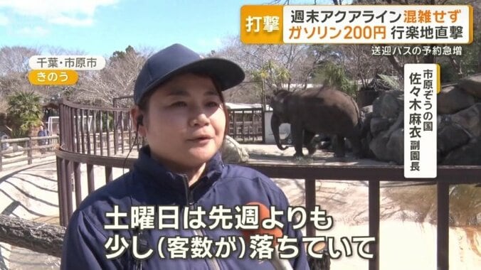 予想はしていたが…