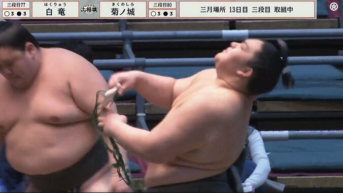 「様子がおかしい」土俵下に転落した力士、勝ち越し決めるも心配の声 土俵下で呼出も心配顔 5枚目