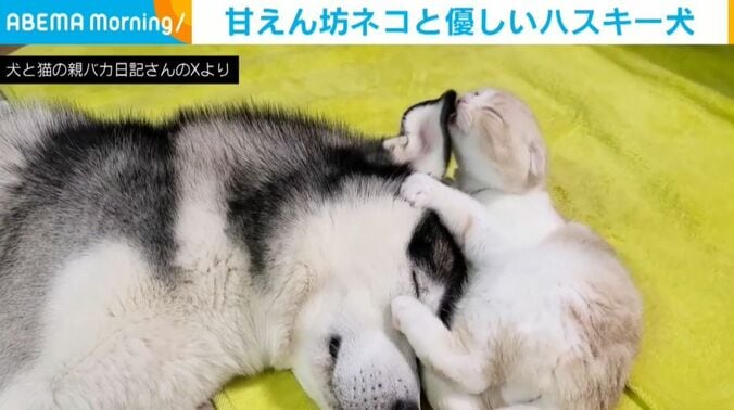 はっちゃんとじゅんちゃん