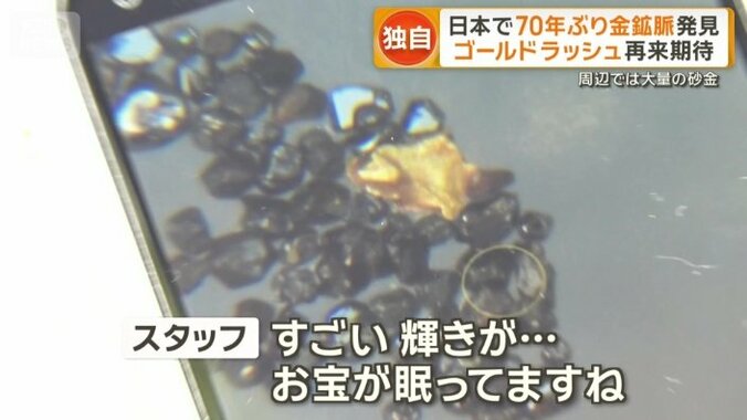 とれた砂金は持ち帰ることができる