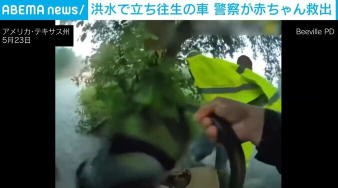 救出された赤ちゃん