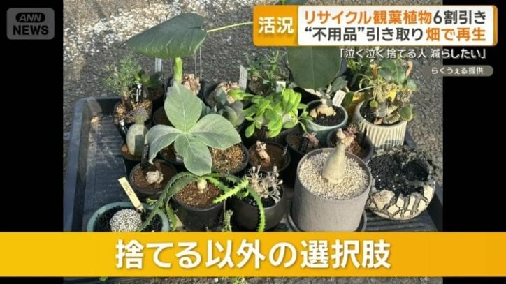 捨てる以外の選択肢