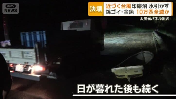 日が暮れた後も…