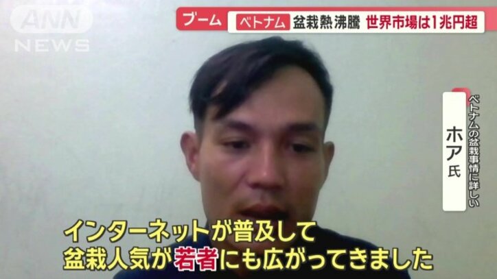 若者にも人気が広がる