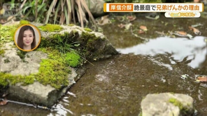 庭にある人工の川