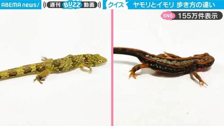 【写真・画像】『刀剣乱舞』ファンが作った“幼児向けではない”仕掛け絵本、まさかのネタバラシにツッコミ続出「センスよすぎでしょw」　1枚目