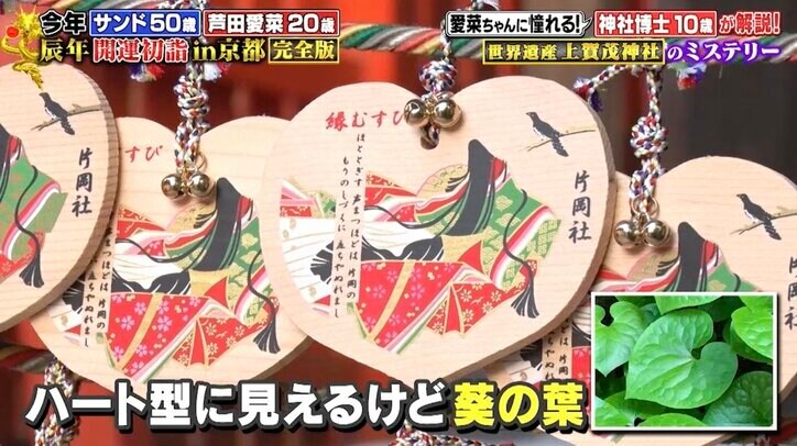 【写真・画像】芦田愛菜、紫式部が恋愛祈願した神社を参拝 「源氏物語」お気に入りシーンを語る　3枚目