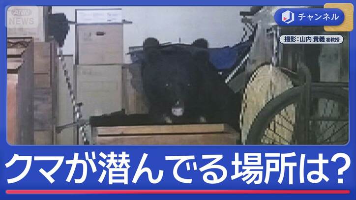 映像分析　クマ潜む“好きな場所”ってどこ？