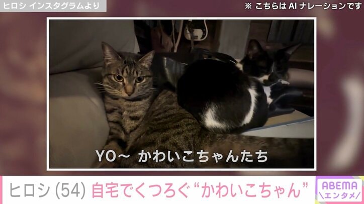 【写真・画像】ヒロシ、DIYした“ホテルみたい”な自宅でくつろぐ「かわいこちゃんたち」を披露「幸せいっぱいですね！」などの反響　2枚目
