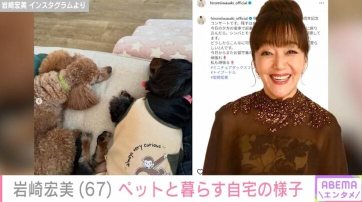 愛犬のシンバくん、モカくん