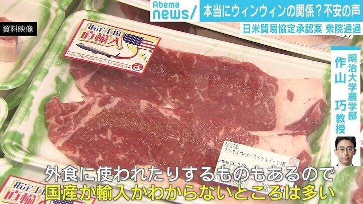 「国民皆保険なくなる」日米貿易協定承認案可決ではびこる不安の声 専門家「“TPPお化け”と同じ」
