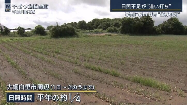 日照不足