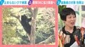 クマ対策で警察OBに協力要請も…「人間の常識が通用しないクマに同じような実力を出せるかは別の話」「野生動物専門のレンジャー部隊を」北海道出身の漫画家・瀧波ユカリが指摘