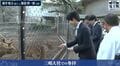 藤井聡太竜王「ちょっと驚いた」指に御用心!?鹿への餌やり体験でプチハプニング ファンはハラハラ「手ーw」「ちょっと怖がっててかわいい」