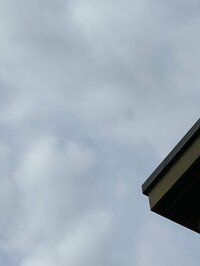 堀ちえみ『今日は記念すべき特別な日』