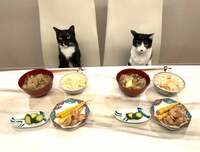 藤あや子『おうちの晩ごはん』