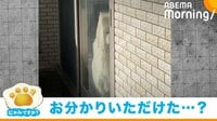 【映像】「置いていったな」 外出から帰ってきた飼い主に突き刺さる“視線”