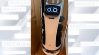 【映像】自宅で動き回るファミレスの猫ロボット